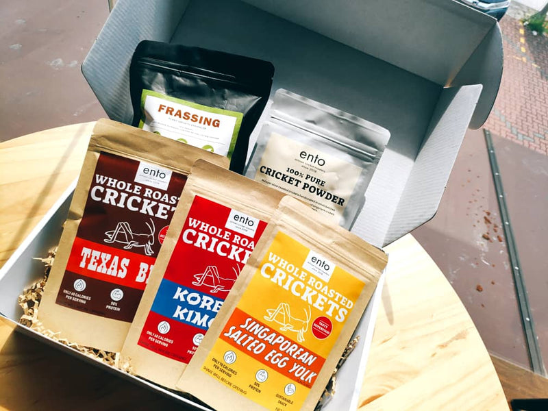 Malaysian cricket powder startup quietly raises seed funding from Rapzo Capital, further confirming the future of alternative protein